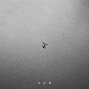 美国老妇女BBBMMM
