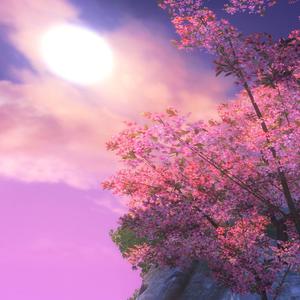 美国老妇女BBBMMM
